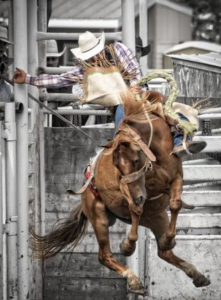 Bruce Stampede